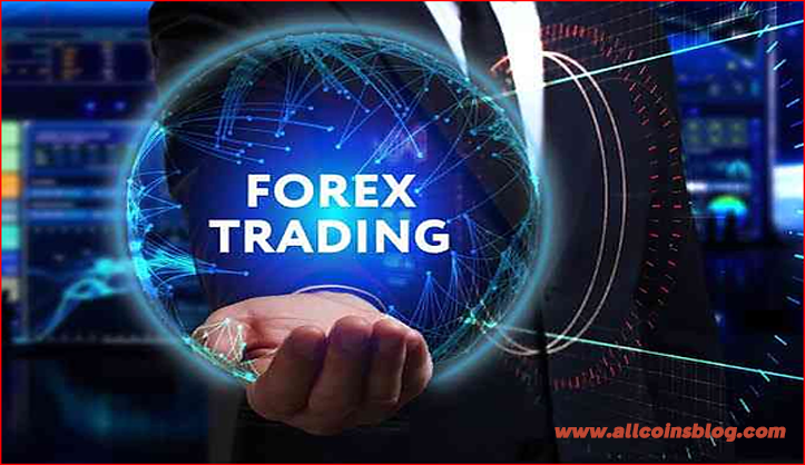 Cover image for article: Experience Real Results with Verified Forex Signals