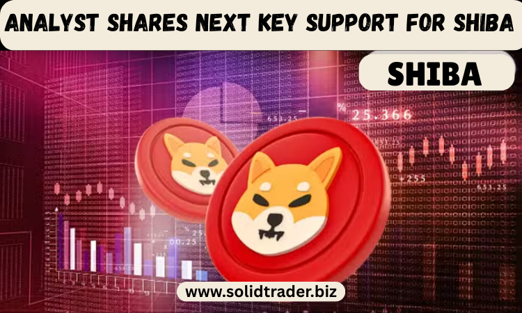 Cover image for article: Analyst Shares Next Key Support for Shiba Inu Amid Breakdown